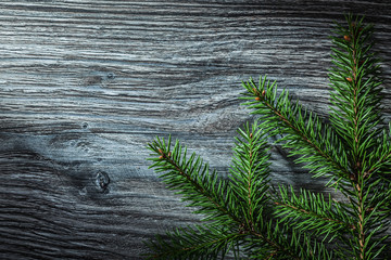 Evergreen tree branch on vintage wooden board