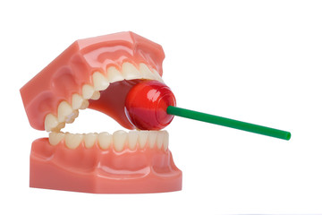 Orthodontic Teeth Model with red lolipop