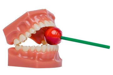 Orthodontic Teeth Model with red lolipop