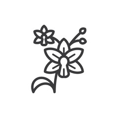 Orchid vector icon