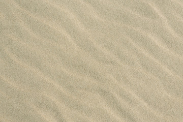 Fototapeta na wymiar Sandy beach vacation / Textured sand pattern background