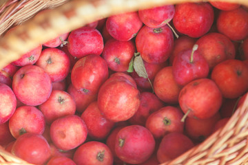 Fototapeta na wymiar Red apples lay in a wicker basket. The fruits grown in garden. Juicy, fresh and ripe fruit. Harvesting with your own hands. Fresh apples full of vitamins.