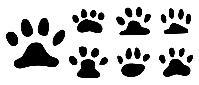 Pets paw footprint. Cat paws prints, kitten foots or dog foot print. Pet rescue logo puppy footprint marks animal shape wildlife mark dirty isolated vector symbol collection for your design