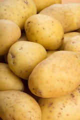 Yukon gold potatoes