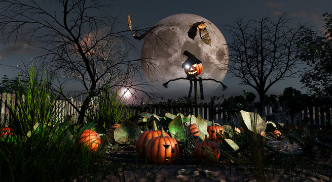 Halloween, campo di zucche con spaventapasseri