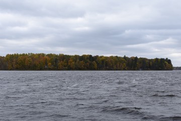 Autumn trees around the water