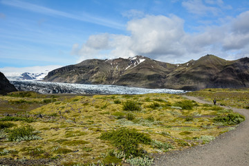 Fototapeta na wymiar View of the Skaftafellsjokull glacier, in Skaftafell, south Iceland in summer