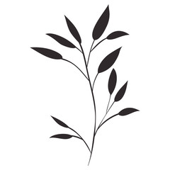 beautiful leaf plant icon