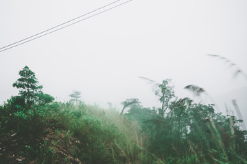 View of sky road over top of mountain with fog and green jungle after raining in morning, Da Lat, Vietnam. The transportation road across mountain.