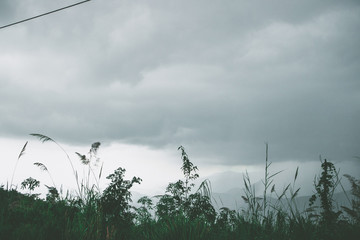 View of sky road over top of mountain with fog and green jungle after raining in morning, Da Lat, Vietnam. The transportation road across mountain.