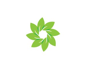 green leaf ecology nature element