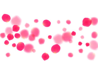 Pink rose petals falling vector valentine background.