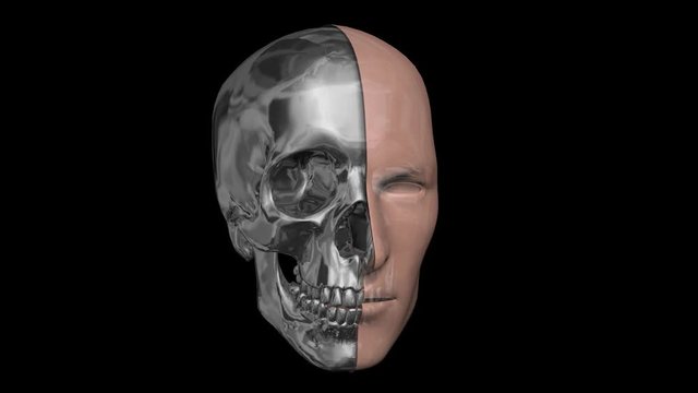 Human face half skin, half metal, robotic head. Rotating 3d animation. Black , white alpha  matte included