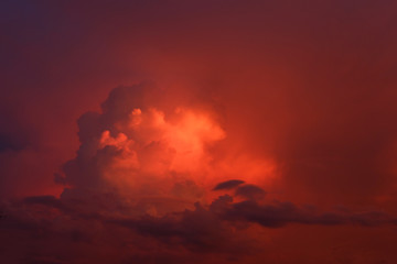 Morning sky with the clouds. 