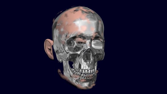 Skin flakes, dissolves off face, reveals skull, robotic head. 3d animation