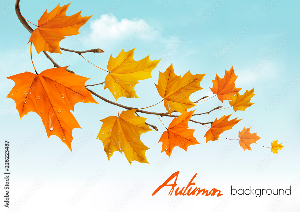 Poster autumn nature background with colorful leaves and drops. vector illustration.
