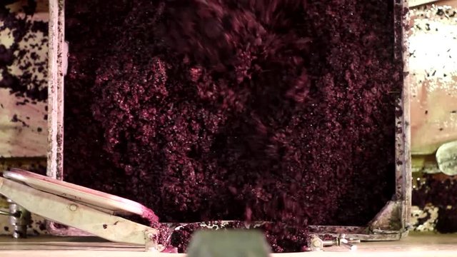 Wine making. Taking the must out of the tank.
Sacando el mosto de las piletas.