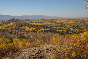 the mountain autumn landscape with colorful forest