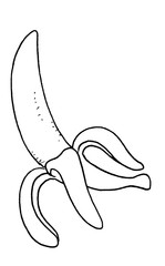 Illustration of an open banana