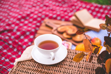 Summer picnic with a basket of food on blanket in the park.