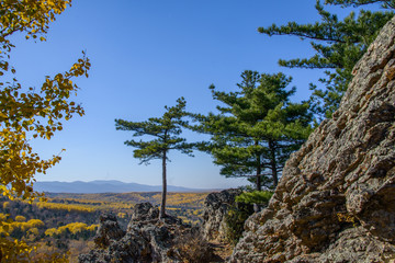 Obraz premium the mountain autumn landscape with colorful forest