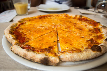 Piece of margarita pizza