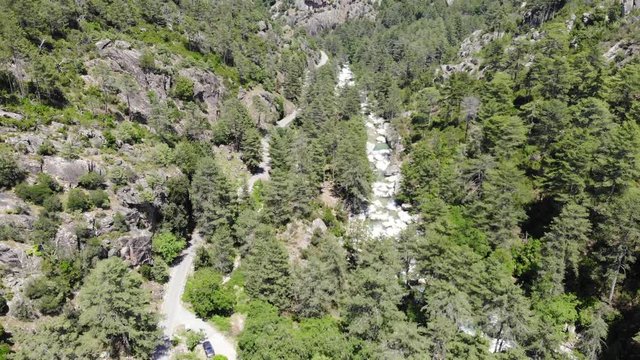 Descending Drone Footage of a River and Trees in the Mountains of Corsica, France
