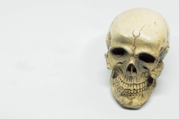 skull on brown vintage paper