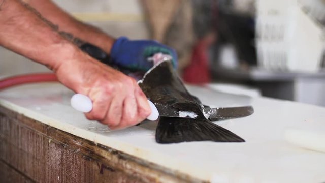 Baja CA Fish Fillet Knife Cabrillo