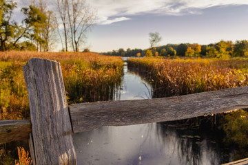 Fall Stream In Michigan