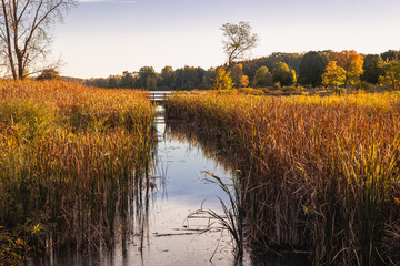 Fall Stream Into Lake