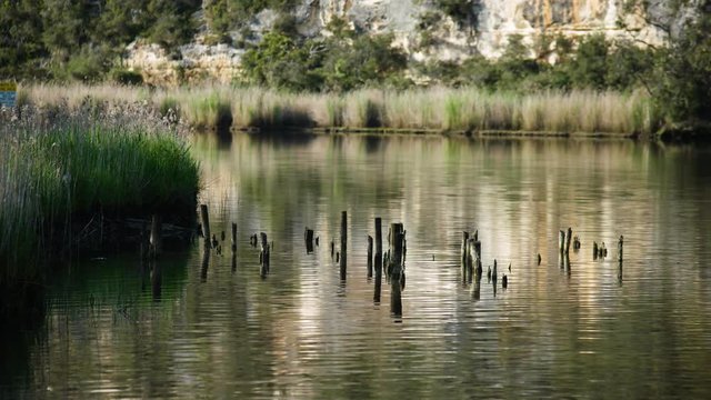 Remains of of boat jetty on the Glenelg River near Nelson, Victoria, Australia (panning left-to-right) - HD 25P.