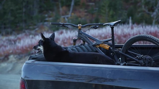 Mountain Biker Unloads Bikes From Back of His Pickup Truck in the Shade - Nelson BC - Handheld