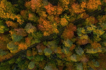 Herbst, bunte Bäume senkrecht nach unten fotografiert aus der Luft via Drohne bzw. Quadrocopter,...