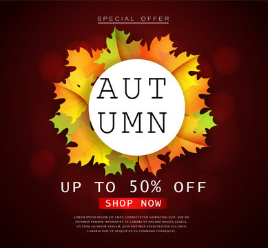 Autumn sale flyer template with lettering. Bright fall leaves. Poster, card, label, banner design.