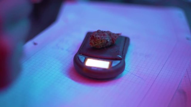 A libra with Weed on it, lightet with red and blue Led&not;&yen;s