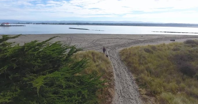 Woman casually walking on the beach with her dog.