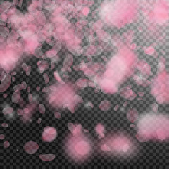 Fototapeta premium Sakura petals falling down. Romantic pink flowers 