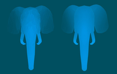 3d vector elephant. Set