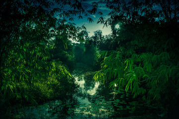 Fototapeta na wymiar Tranquil river and bamboo trees at national park. Serenity nature background.