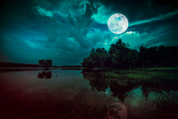 Fototapeta na wymiar Beautiful full moon and cloudy on green sky above silhouettes of trees, lake area.