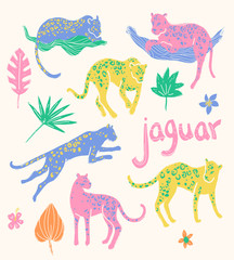 Vector collection of jaguars. Tropic wild animals and plants in 