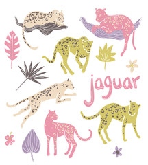Vector collection of jaguars. Tropic wild animals and plants in 