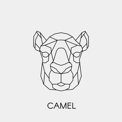 Geometric camel. Polygonal linear animal head. Vector illustration.