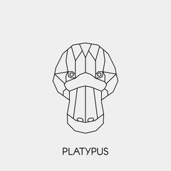 Geometric platypus. Polygonal linear australian animal head. Vector illustration.