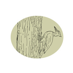 Woodpecker Pecking Tree Drawing