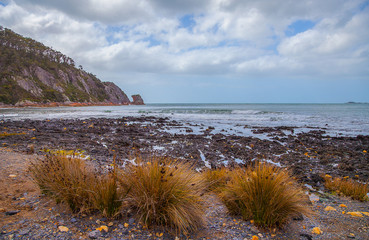 Boat Harbour Tasmania. Fishing, wild life, swimming, surfing in the great outdoors.