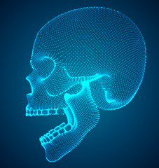 Obraz premium vector set of human skulls with square and triangular
