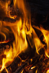 Fire, flames on a black background.