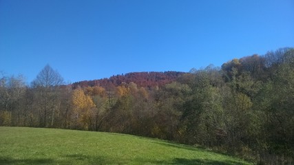 Fototapeta na wymiar lasy, jesień,bieszczady,góry,bory,